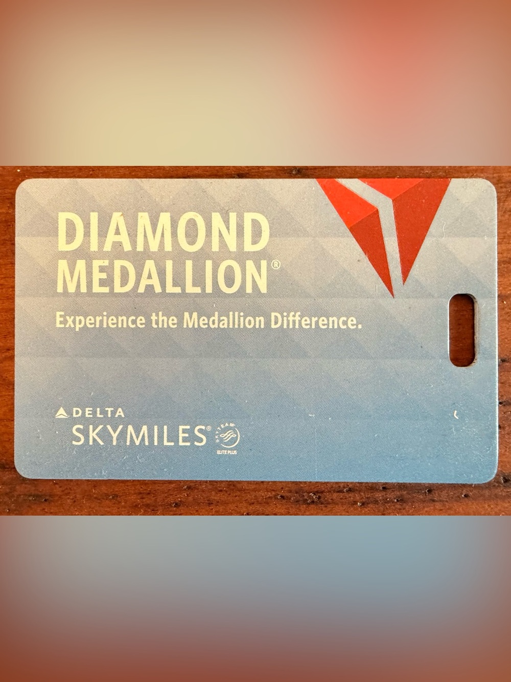 Delta SkyMiles Diamond Medallion Bag Tag